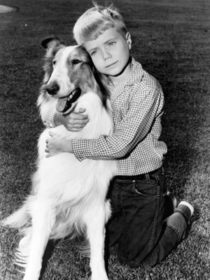 Lassie und Timmy
